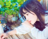 清新女生头像森林系,探索森林系女生头像的魅力”