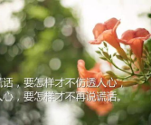 经典语录伤感人生感悟,经典伤感语录中的心灵慰藉