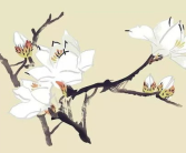 春去也花落无言打一字谜,一字揭晓诗意深”