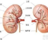 肾炎严重吗,肾炎严重程度概述
