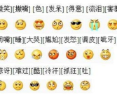 表情符号大全带意思,解读千变万化的情感符号