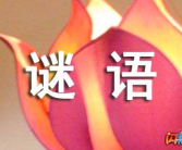 十二月打一字答案,一字藏奥秘——探寻‘打一字的趣味与智慧”