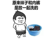 十个特别爆笑的段子,十个爆笑段子，让你瞬间忘却烦恼