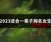 2023适合一辈子签名,一生相伴的个性印记
