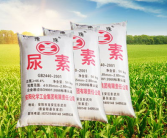 尿素高的原因,原因、危害及预防措施”