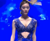 时尚中国风内衣秀,时尚中国风内衣秀风采