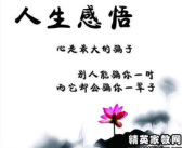 人生感悟经典句子